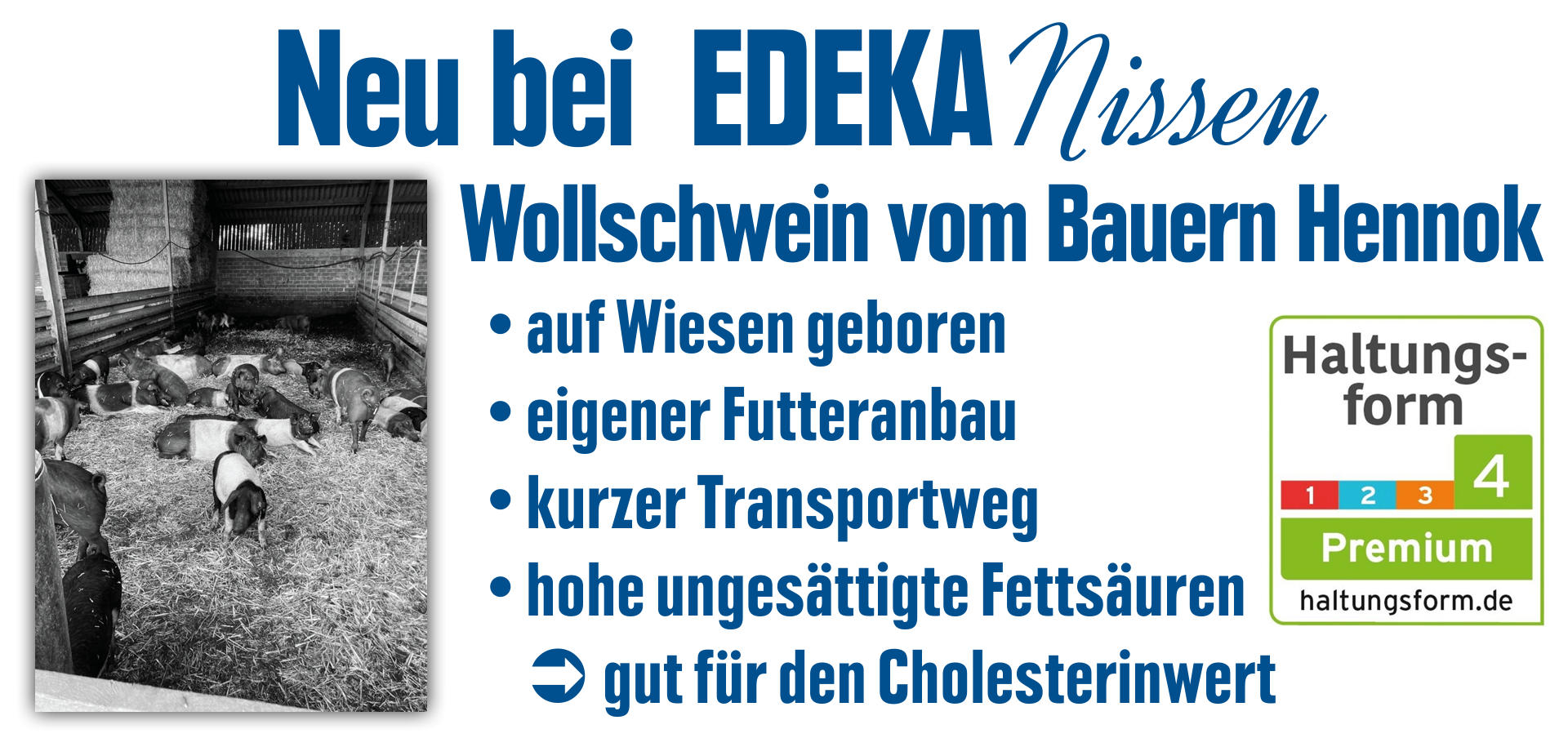 Wollschwein bei EDEKA Nissen Wollschwein